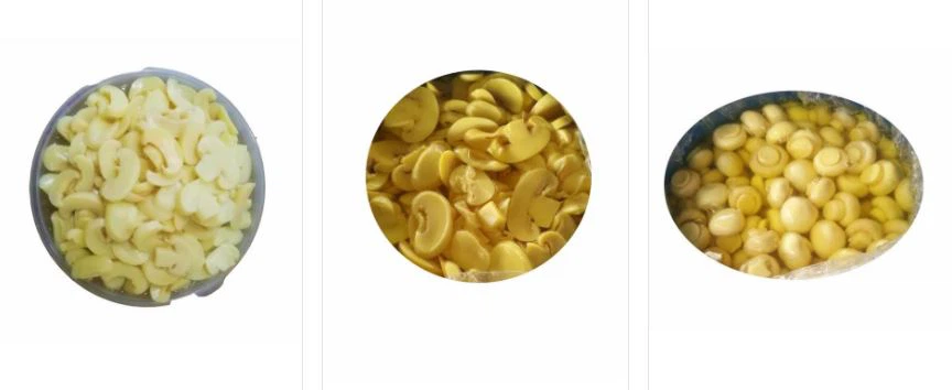 Salted Mushroom