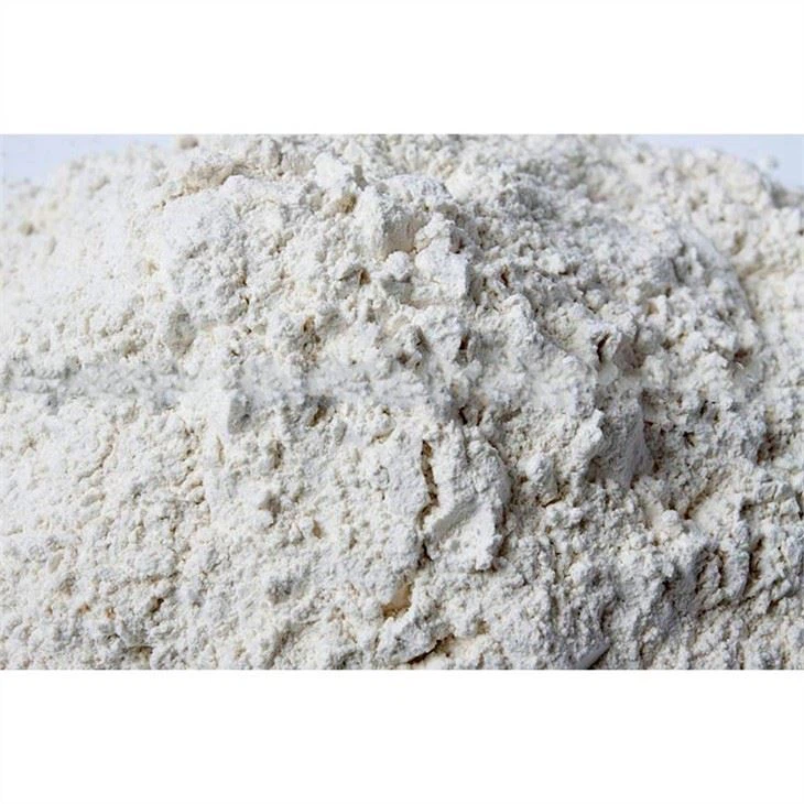 Dehydrated White Onion Powder (2)