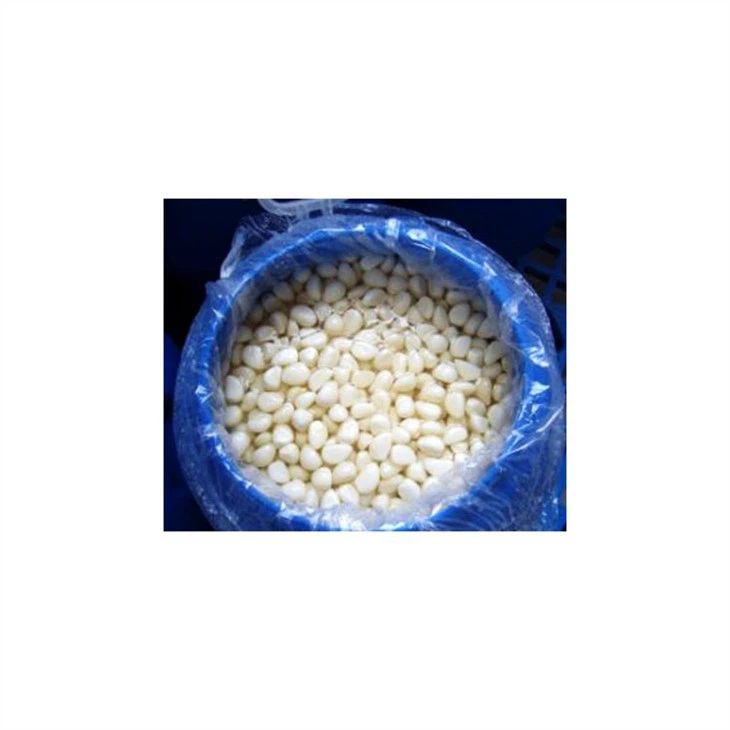 Salted Garlic in 50kg Drums (2)